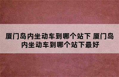 厦门岛内坐动车到哪个站下 厦门岛内坐动车到哪个站下最好